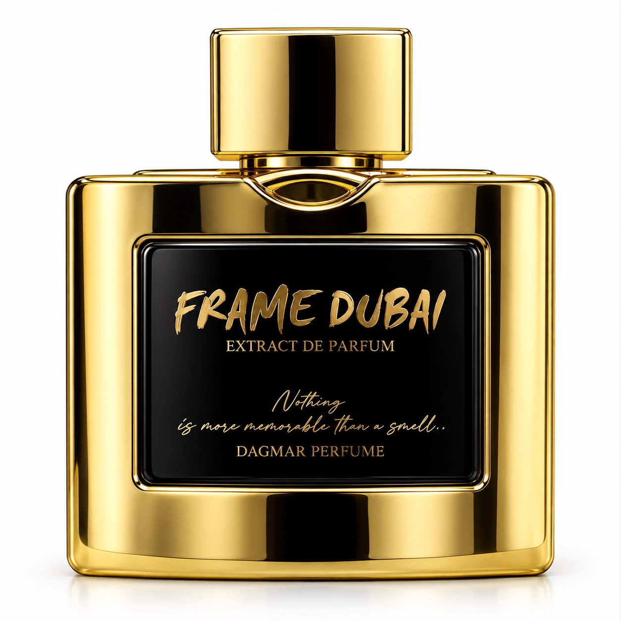 Vibgyor Perfumes Frame Dubai Perfume Spray 100ML